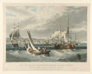 View of the New York Quarantine, Staten Island by William James Bennett