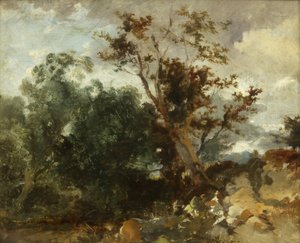Study of Trees, c.1840 by William James Muller