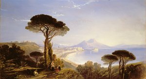 Unknown Image by William James Muller