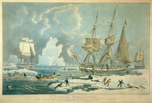 Northern Whale Fishery, Engraved by E. Duncan by William John (after) Huggins