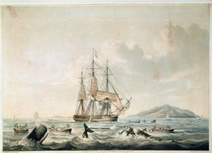 South Sea Whale Fishery, Engraved by T. Sutherland by William John (after) Huggins