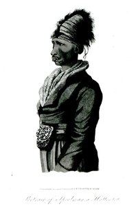 Portrait of Speelman, a Hottentot, 1814 by William John Burchell
