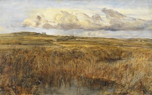 Rhoscolyn, Anglesey by William Joseph J.C. Bond