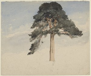 Scots Pine by William Leighton Leitch