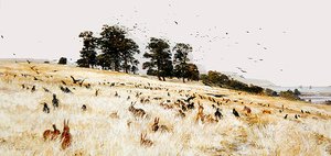 A Rookery by William Lionel Wyllie
