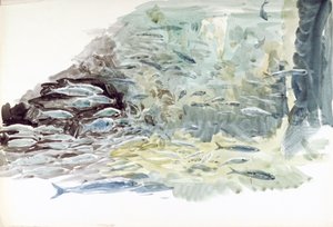 Underwater View of a Shoal of Fish by William Lionel Wyllie