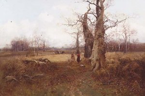 Autumn Landscape