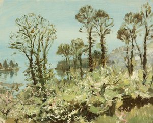A Flowery Copse
