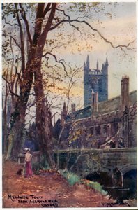 Magdalen Tower from Addison