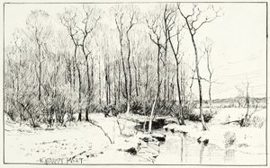 Untitled, winter landscape