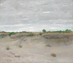 Wind-Swept Sands
