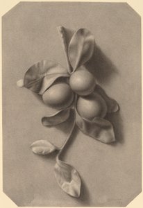 A Sprig of Plums by William Michael Harnett