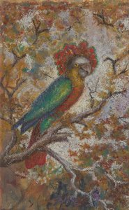 Parrot by William N. Buckner