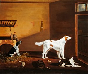 Three dogs in a stable