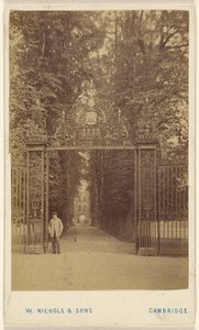 Trinity Cole Avenue by William Nichols and Sons