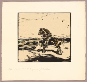 The Shire Horse