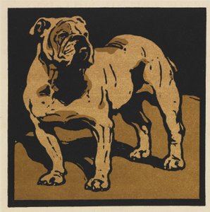 The British Bull-Dog by William Nicholson