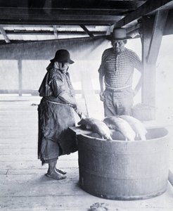Indian Salmon Cleaner, near New Westminster, British Columbia (Province of Canada) by William Notman