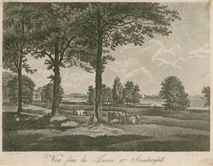 View from the Terrace of Strawberry Hill, London by William Pars