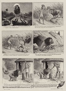 How the Lion First became Afraid of Man