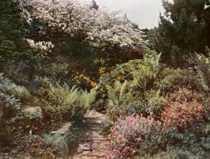  by William Ransford