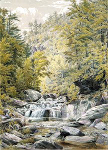 Catskill Clove by William Rickarby Miller