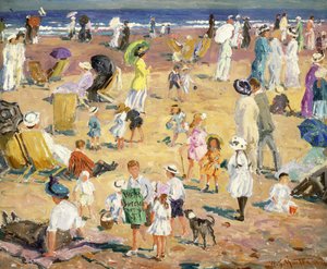 Beach in the Sun