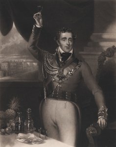The Duke of Wellington by William Say