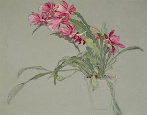 Christmas Cactus, c.1920-30 by William Shackleton