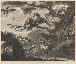 The Vulture, the Sparrow, and other Birds