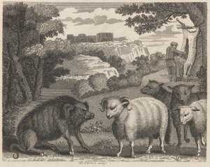 The Wild Boar and the Ram by William Skelton