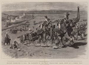 Military Manoeuvres in India, the Elephants of the Heavy Field-Battery taking Fright at a Passing Train