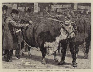 The Cattle Show at the Agricultural Hall, judging the Herefords