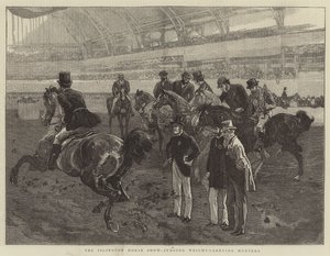 The Islington Horse Show, Judging Weight-Carrying Hunters
