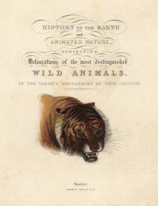 Calligraphic Title Page with Vignette of Tiger by William Smellie