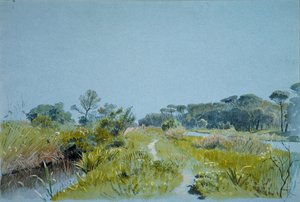 Castel Fusano Near Rome