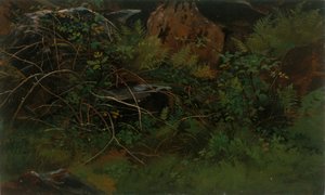 Study from Nature