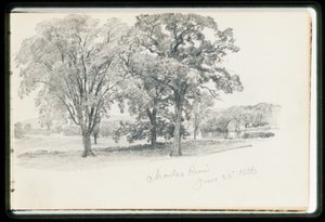 Charles River, June 22 