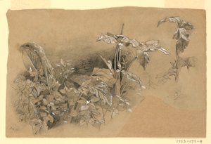Study of Foliage by William Trost Richards