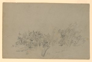 Study of Foliage by William Trost Richards