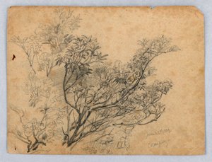 Study of Foliage by William Trost Richards