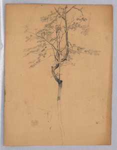 Study of Foliage by William Trost Richards