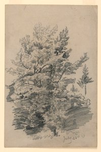 Study of Foliage by William Trost Richards