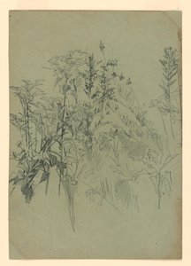 Study of Foliage by William Trost Richards