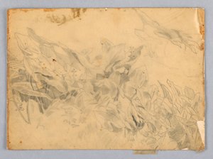 Study of Foliage by William Trost Richards