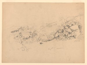 Study of foliage, Trachselwald, Bern, Switzerland by William Trost Richards