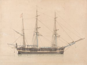 The Whaler "Truelove" of Hull by William Ward