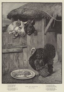Food for Reflection