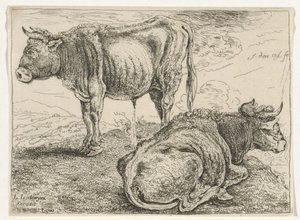 Two Oxen
