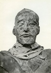 Head of the mummy of Rameses III, Ancient Egyptian pharaoh of the 20th Dynasty, c1156 BC 1926 by Winifred Mabel Brunton